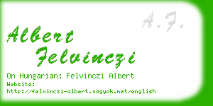 albert felvinczi business card